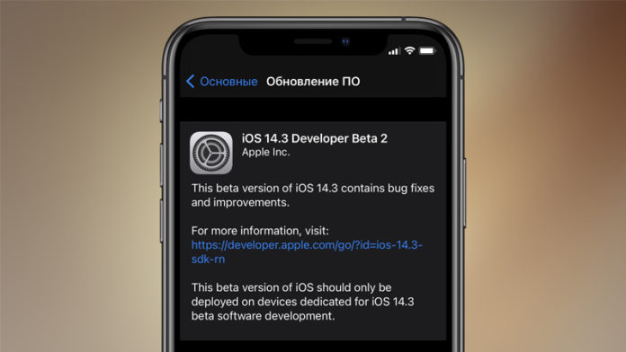iOS_14.3_Beta_2 iOS 14.3 beta 2 и iPadOS 14.3 beta 2